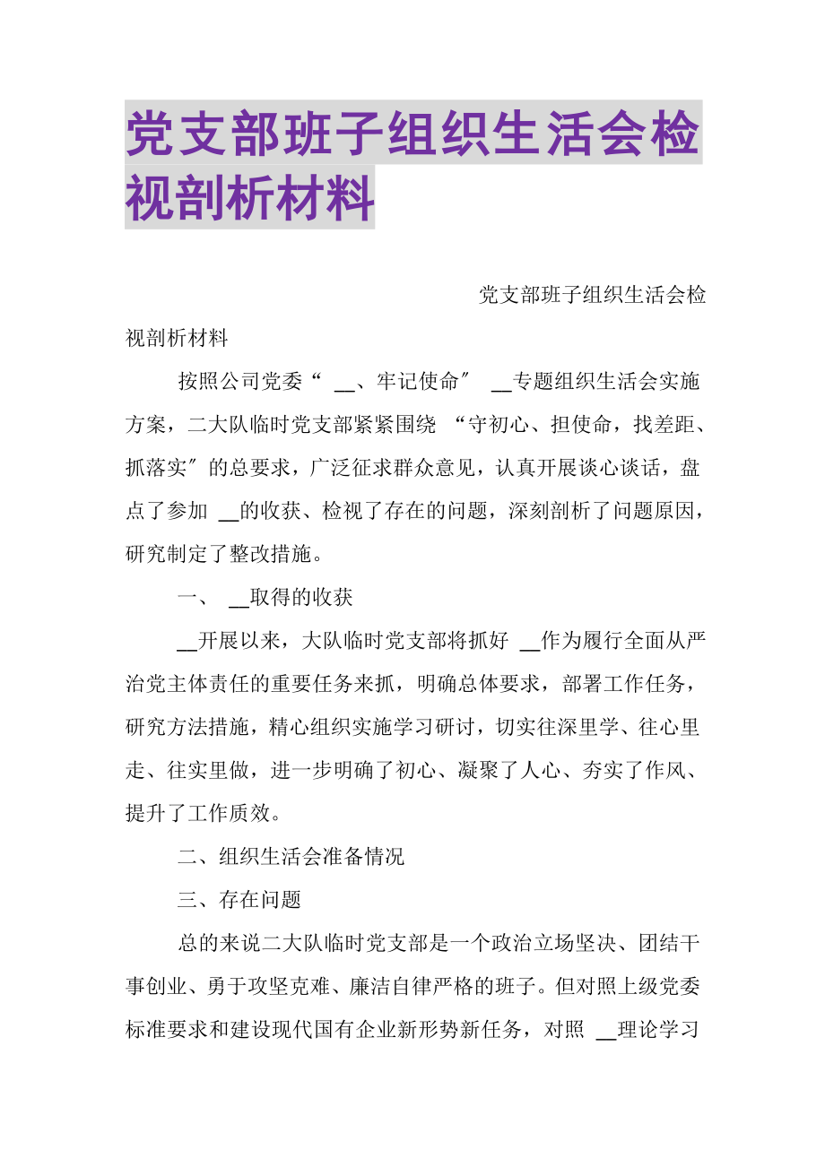 2023年党支部班子组织生活会检视剖析材料.doc_第1页