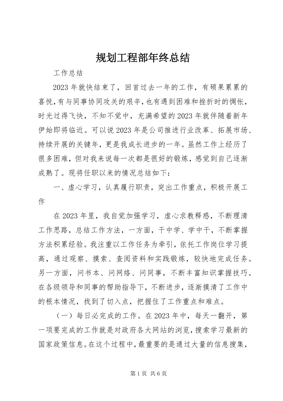 2023年规划项目部终总结.docx_第1页