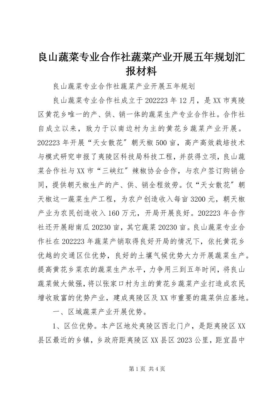 2023年良山蔬菜专业合作社蔬菜产业发展五规划汇报材料.docx_第1页