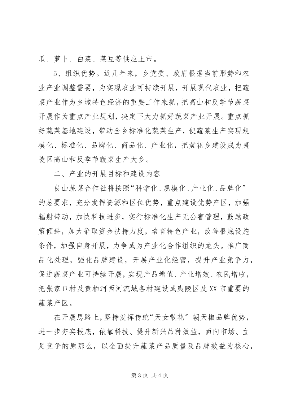 2023年良山蔬菜专业合作社蔬菜产业发展五规划汇报材料.docx_第3页