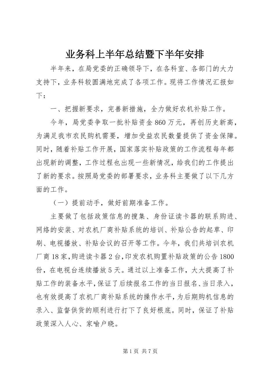 2023年业务科上半年总结暨下半年安排.docx_第1页