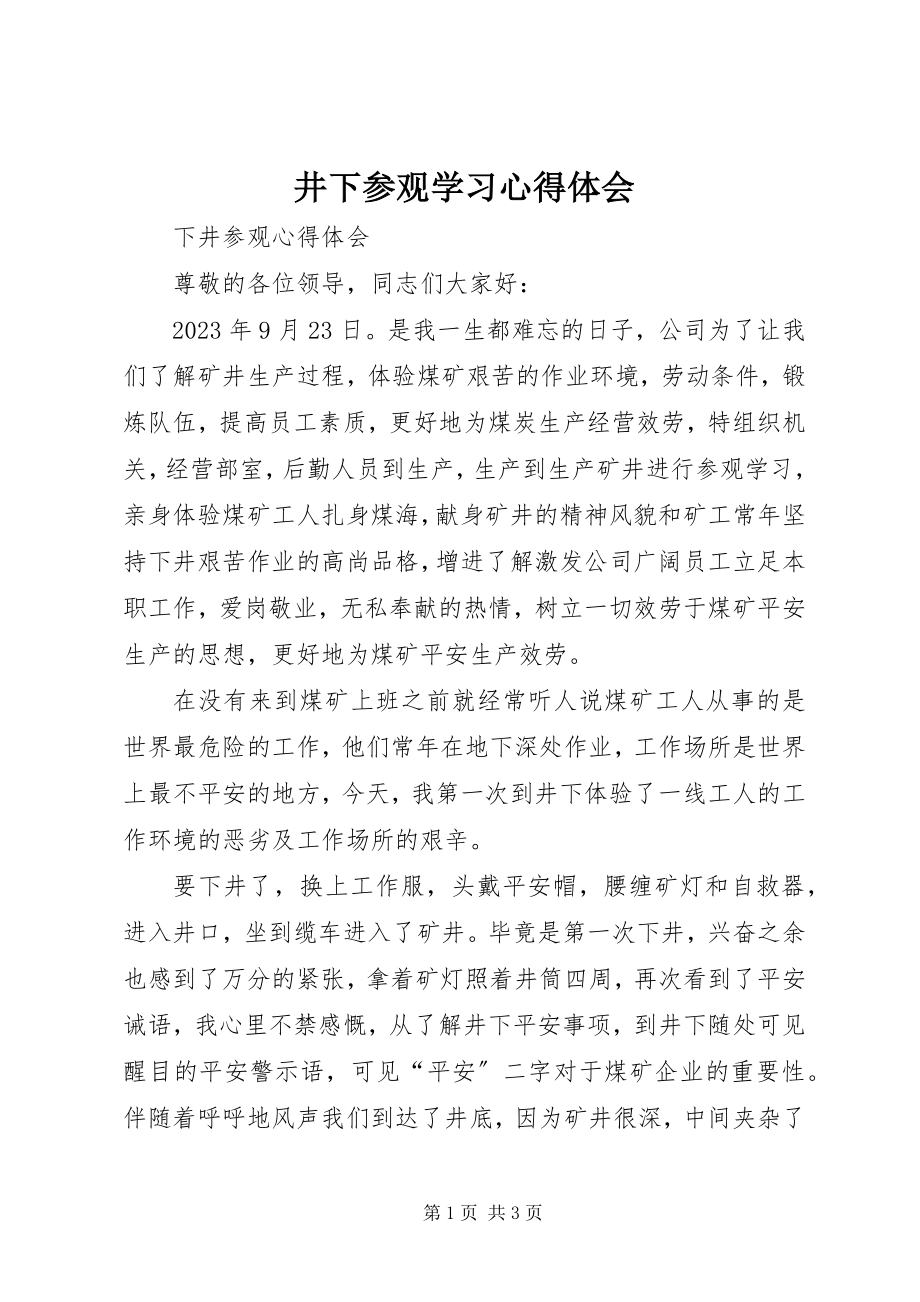 2023年井下参观学习心得体会.docx_第1页