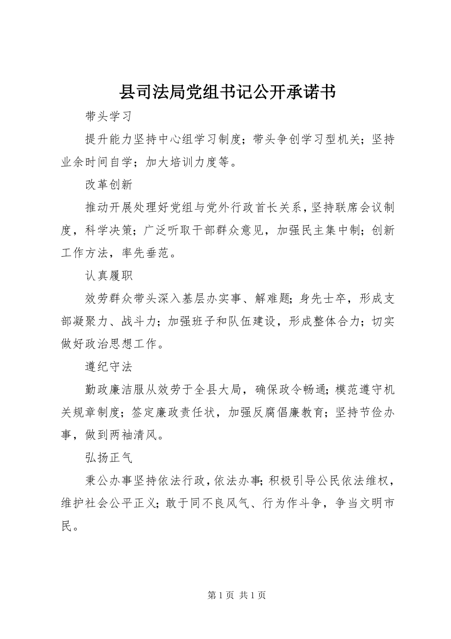 2023年县司法局党组书记公开承诺书.docx_第1页