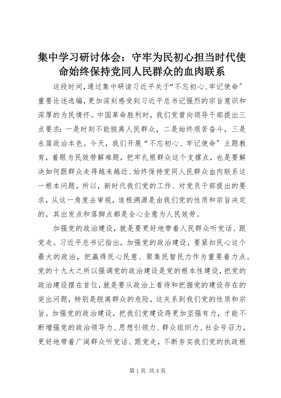 2023年集中学习研讨体会守牢为民初心担当时代使命始终保持党同人民群众的血肉联系.docx_第1页