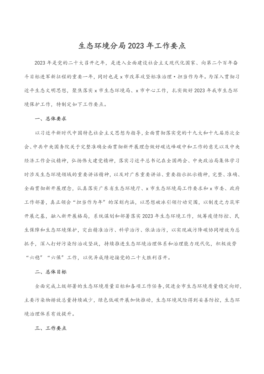 生态环境分局工作要点.docx_第1页