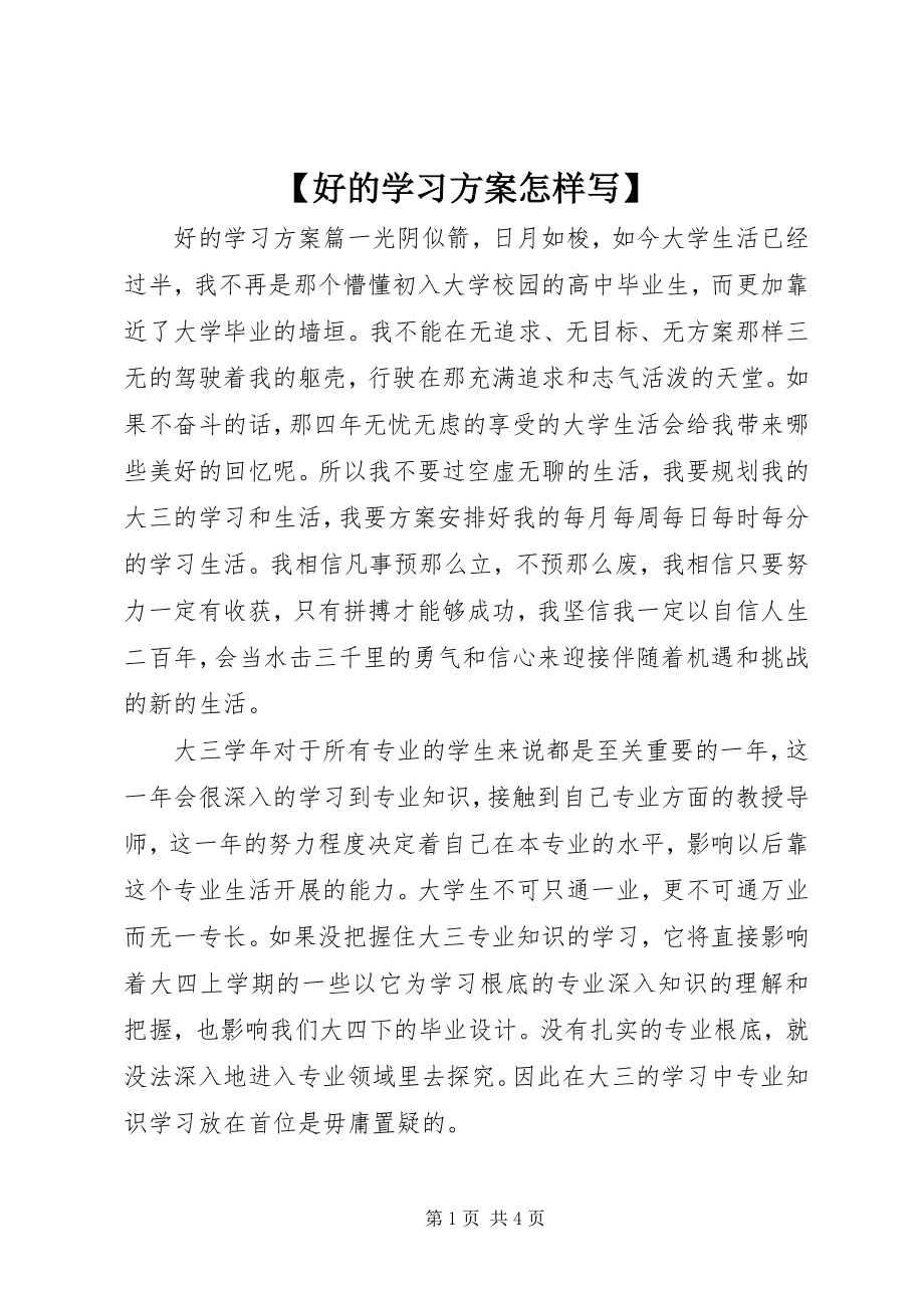 2023年好的学习计划怎样写新编.docx_第1页