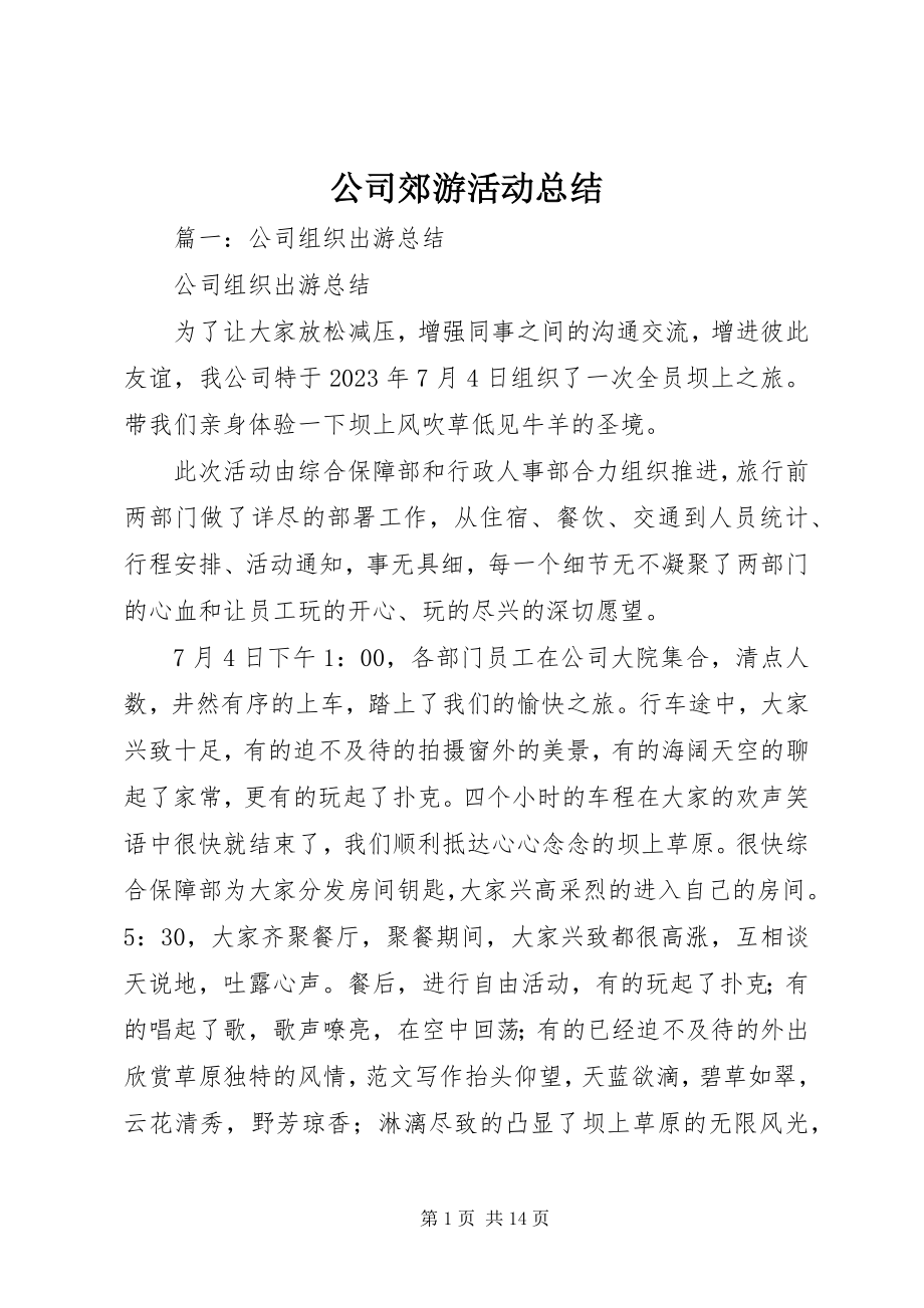 2023年公司郊游活动总结.docx_第1页