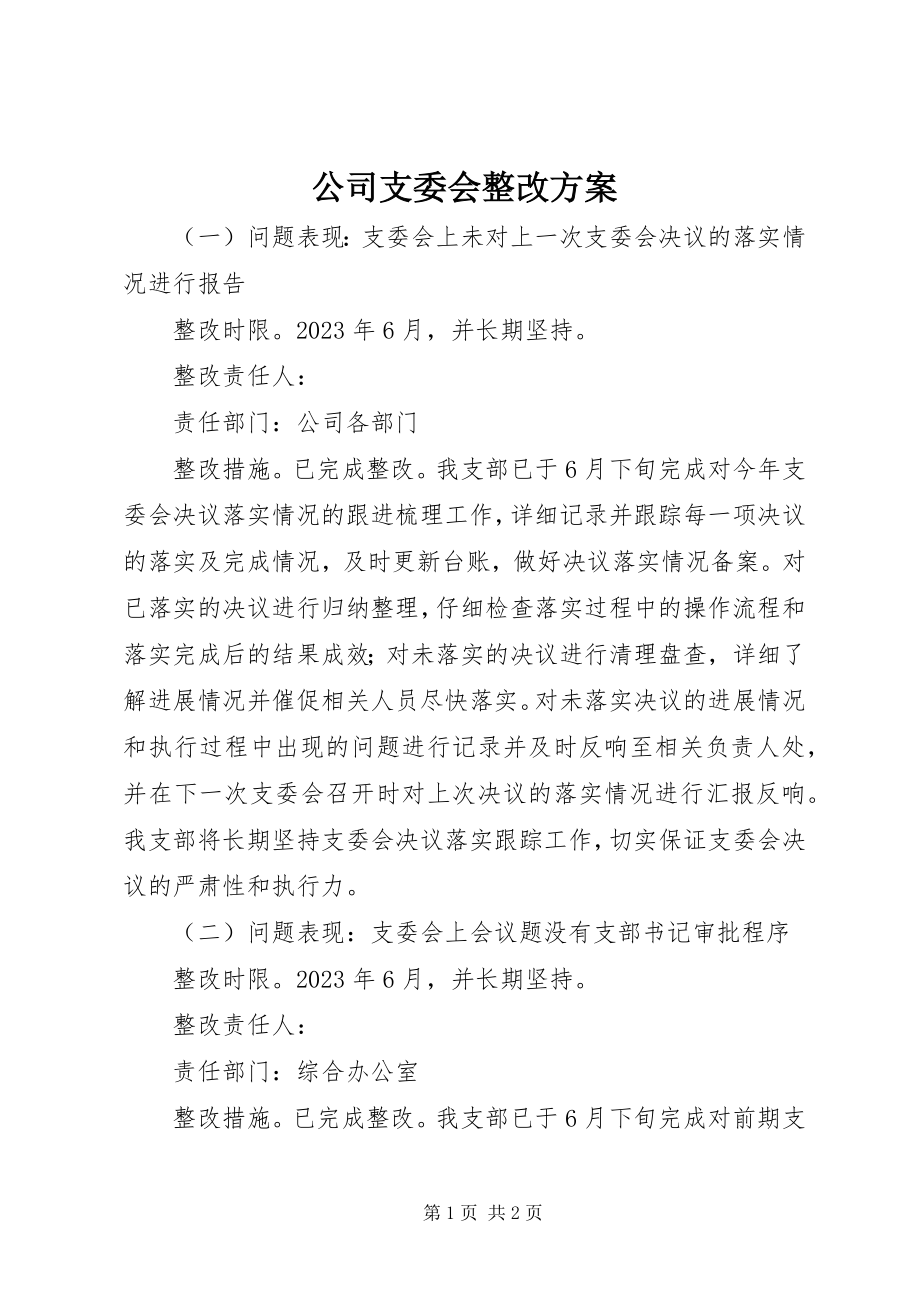 2023年公司支委会整改方案.docx_第1页