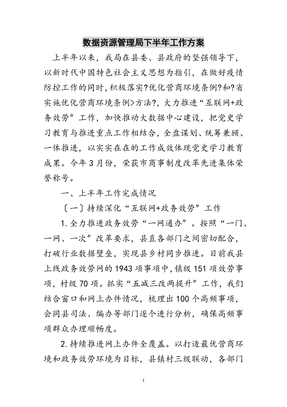 2023年数据资源管理局下半年工作计划范文.doc_第1页