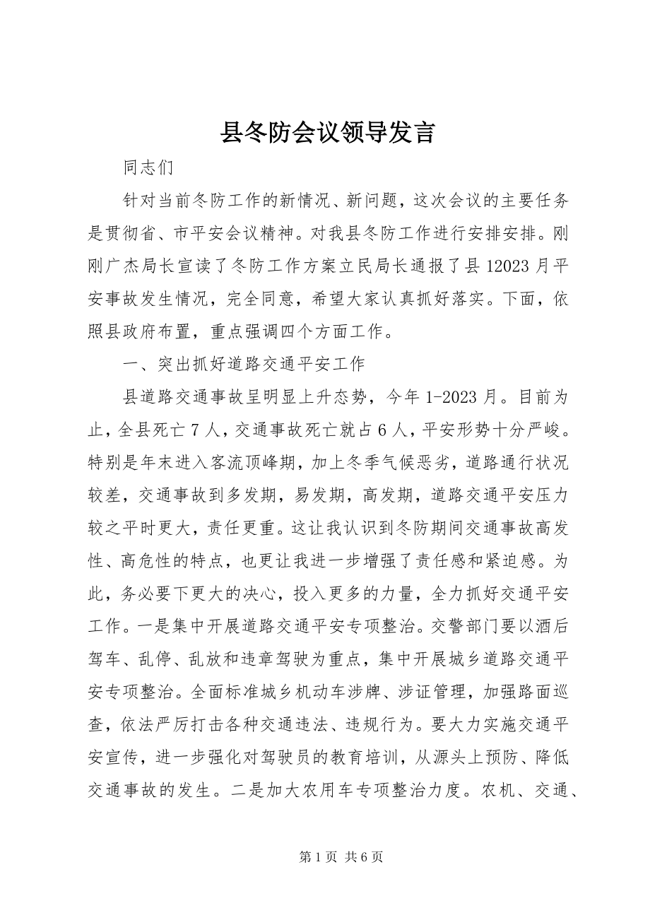 2023年县冬防会议领导讲话.docx_第1页