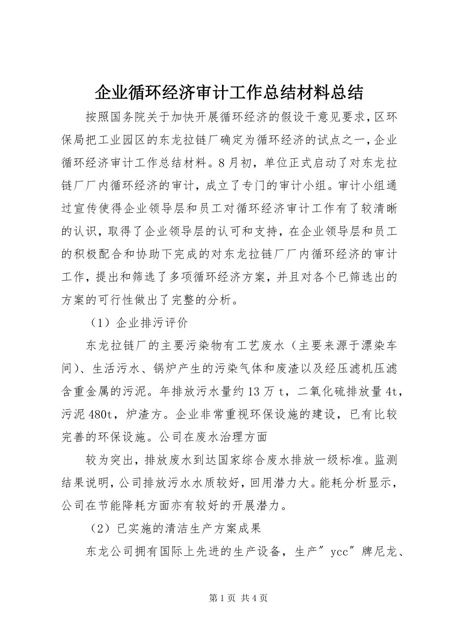 2023年企业循环经济审计工作总结材料总结.docx_第1页