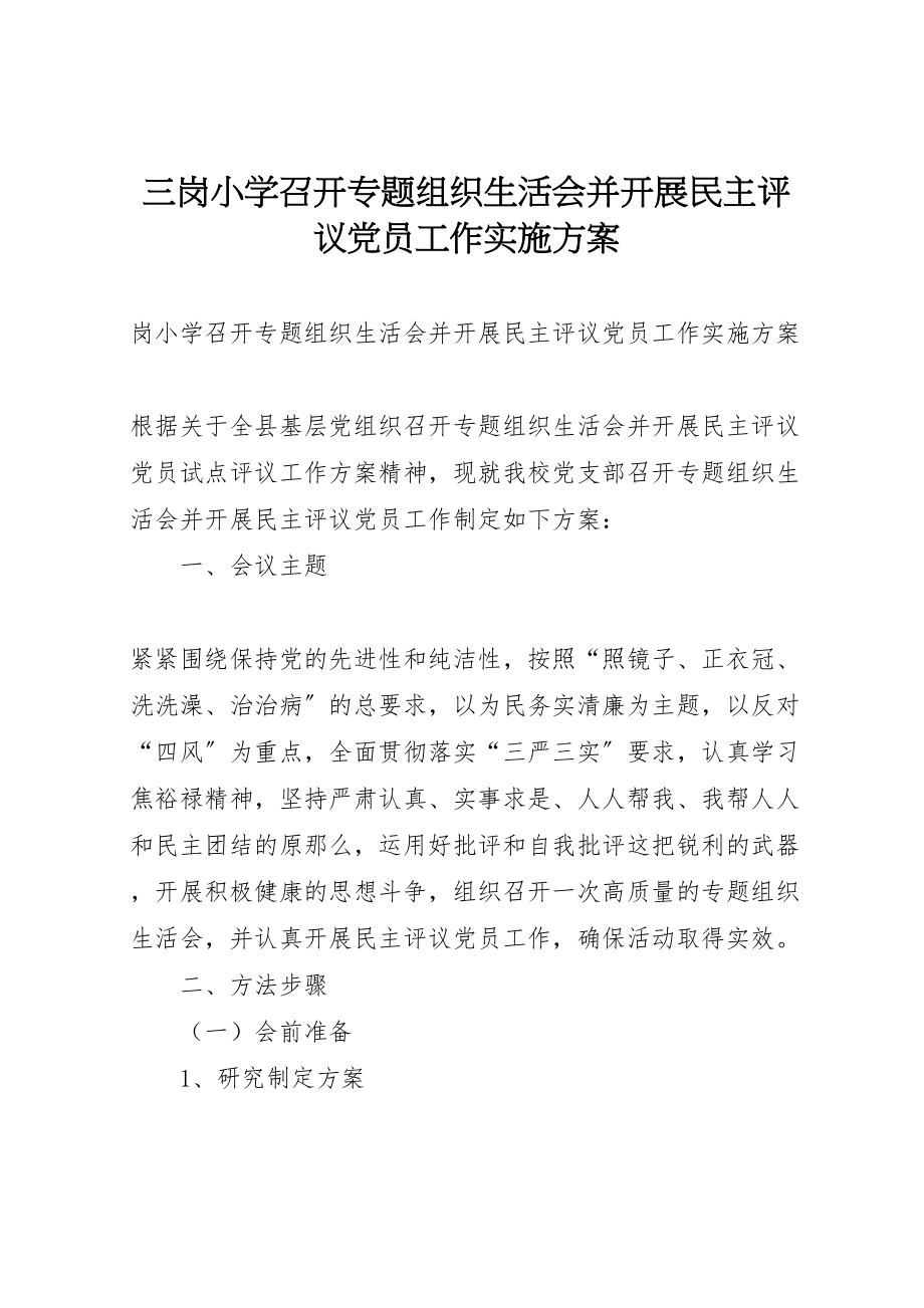 2023年三岗小学召开专题组织生活会并开展民主评议党员工作实施方案.doc_第1页