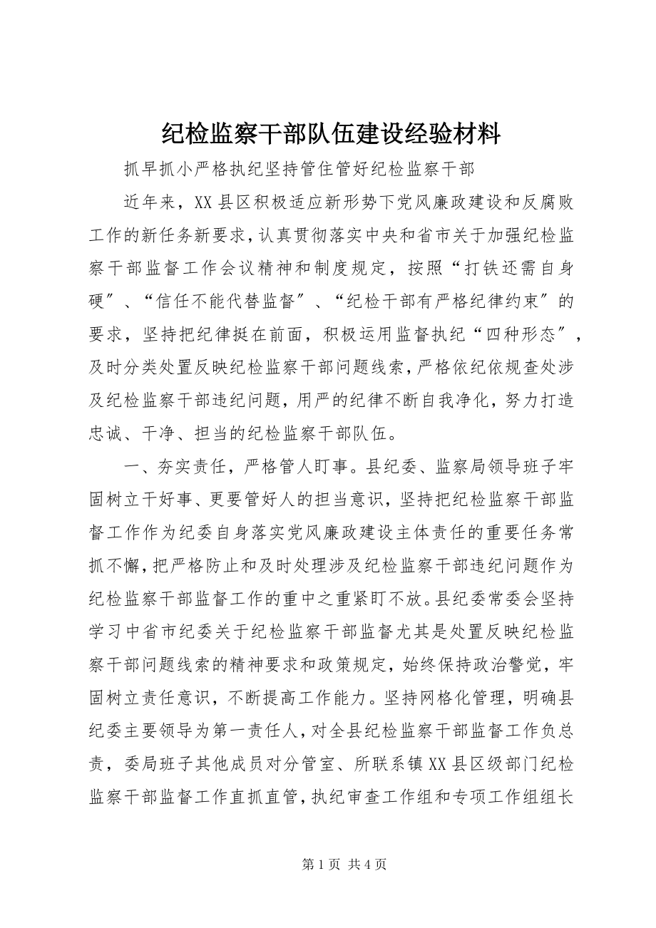 2023年纪检监察干部队伍建设经验材料.docx_第1页