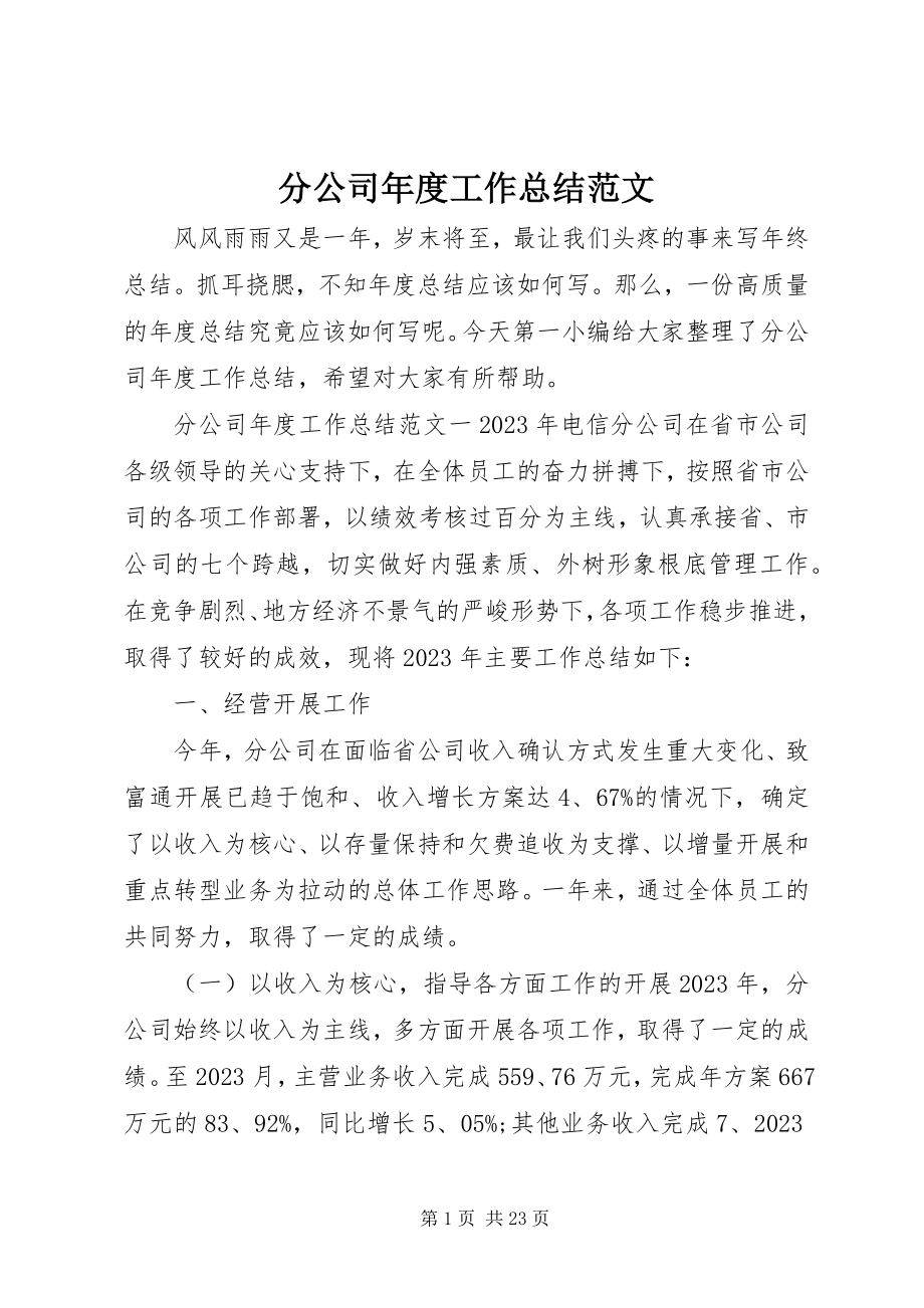 2023年分公司年度工作总结.docx_第1页