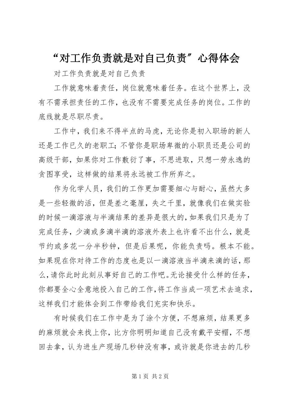 2023年“对工作负责就是对自己负责”心得体会新编.docx_第1页