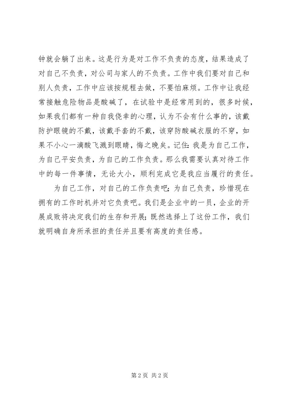 2023年“对工作负责就是对自己负责”心得体会新编.docx_第2页