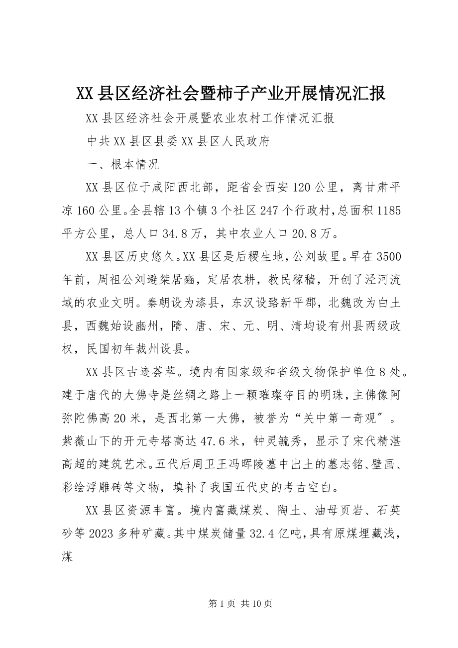 2023年XX县区经济社会暨柿子产业发展情况汇报新编.docx_第1页