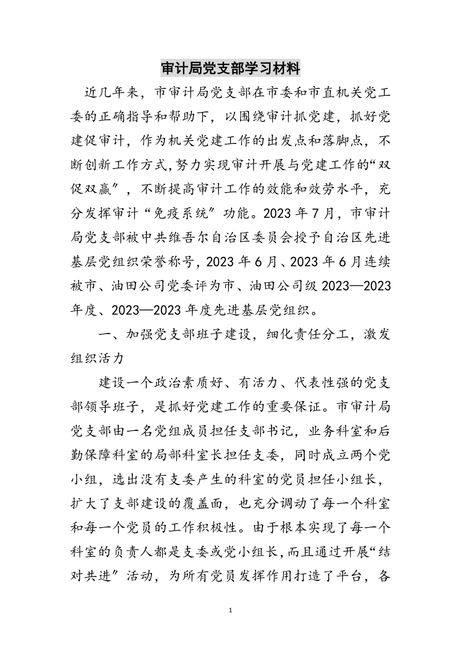 2023年审计局党支部学习材料范文.doc_第1页