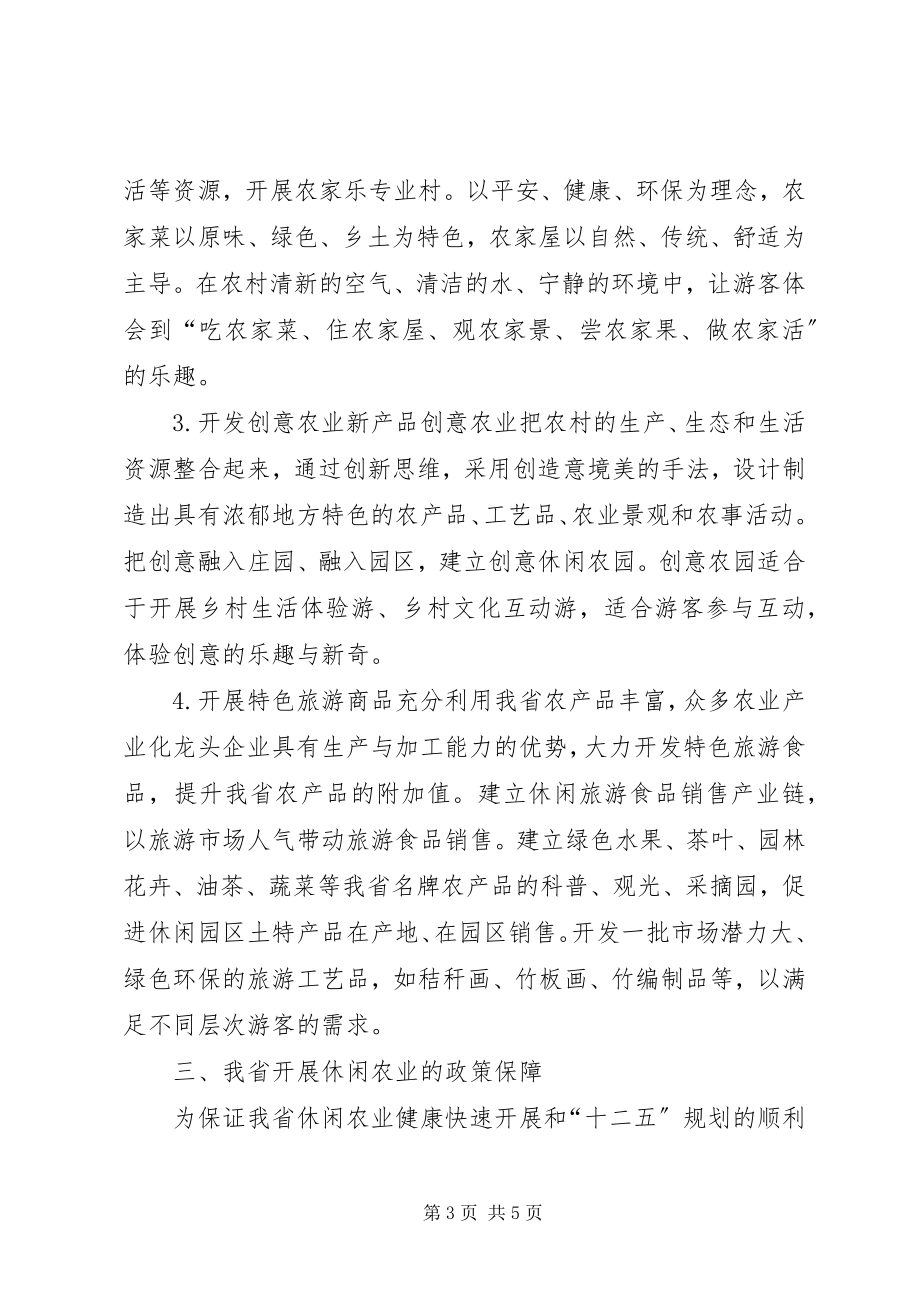 2023年探讨休闲农业快速发展的计策.docx_第3页