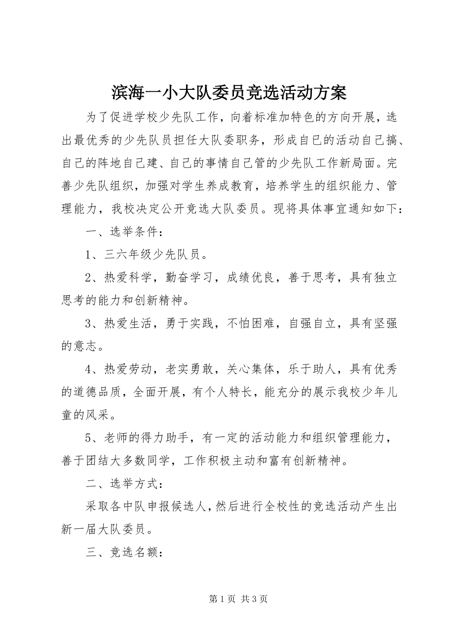 2023年滨海一小大队委员竞选活动方案新编.docx_第1页