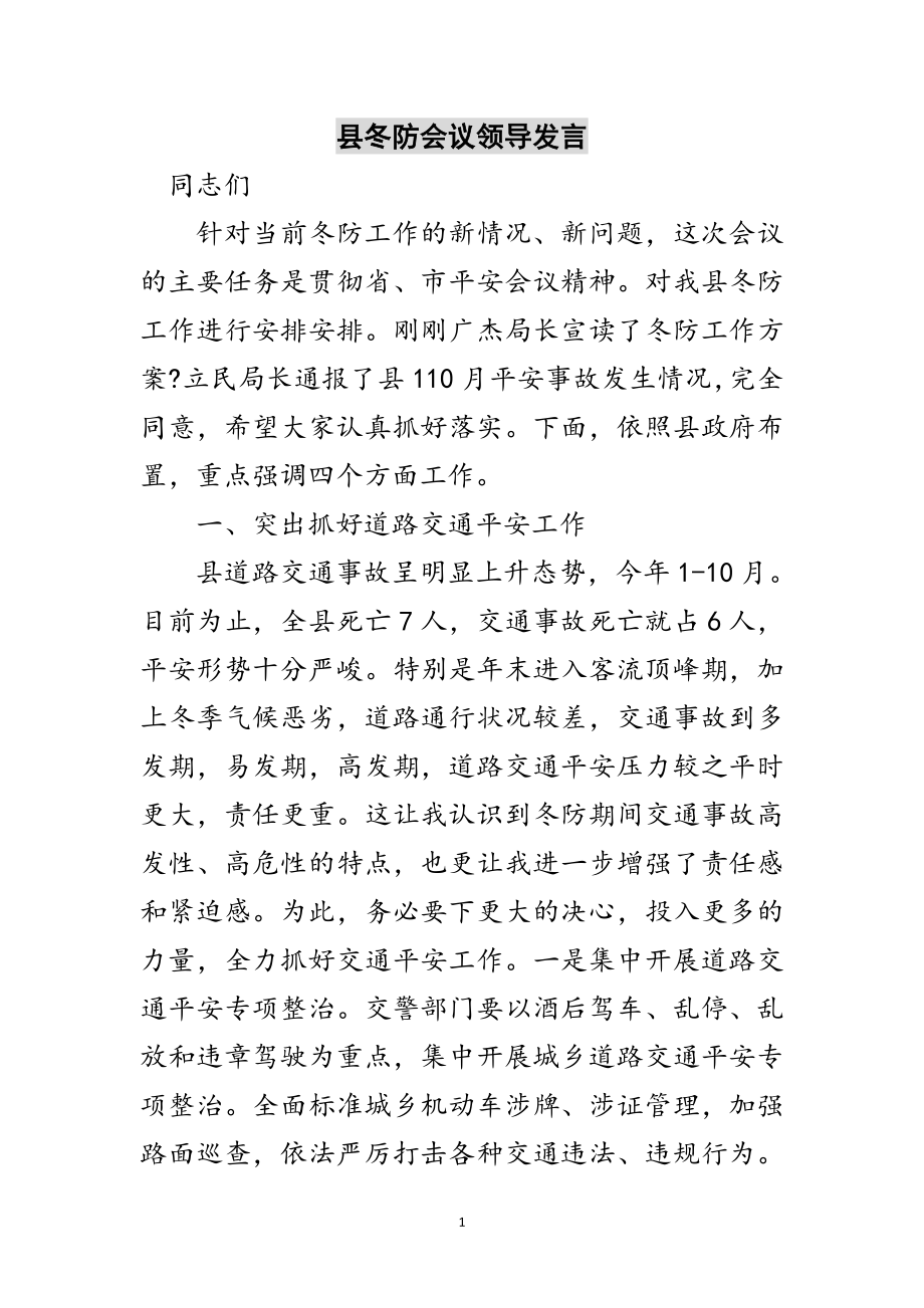 2023年县冬防会议领导发言范文.doc_第1页