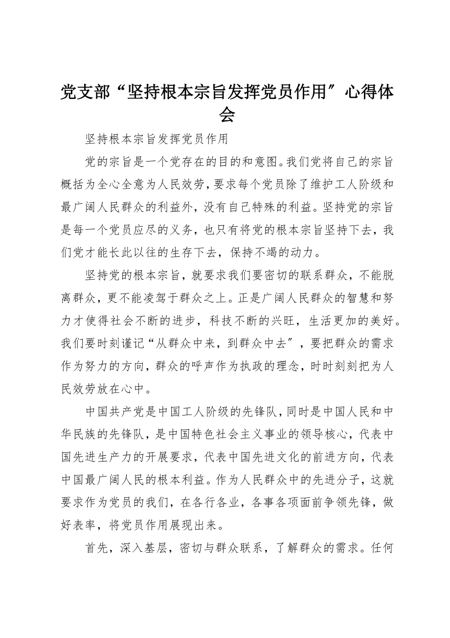 2023年党支部“坚持根本宗旨发挥党员作用”心得体会.docx_第1页