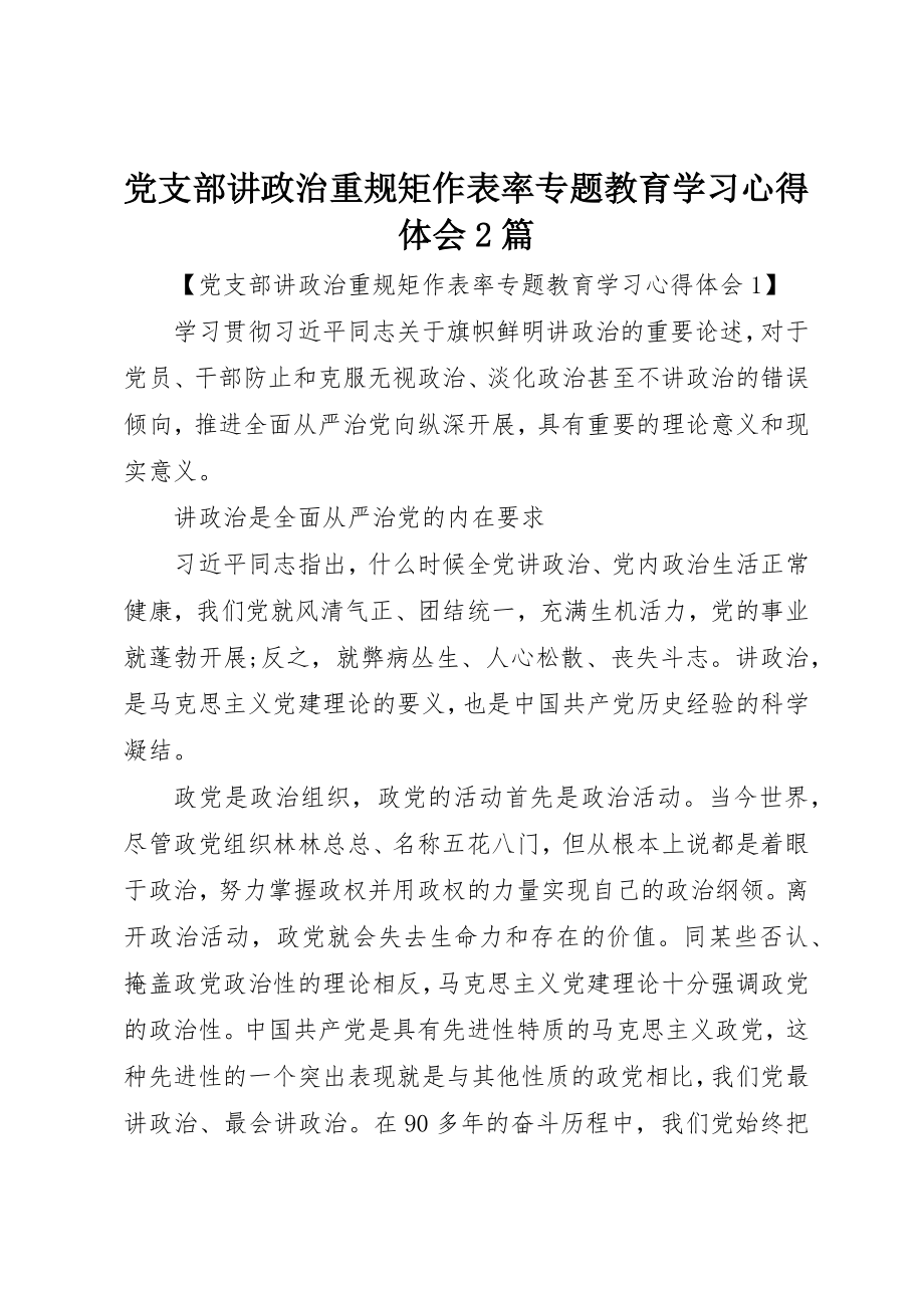 2023年党支部讲政治重规矩作表率专题教育学习心得体会2篇.docx_第1页