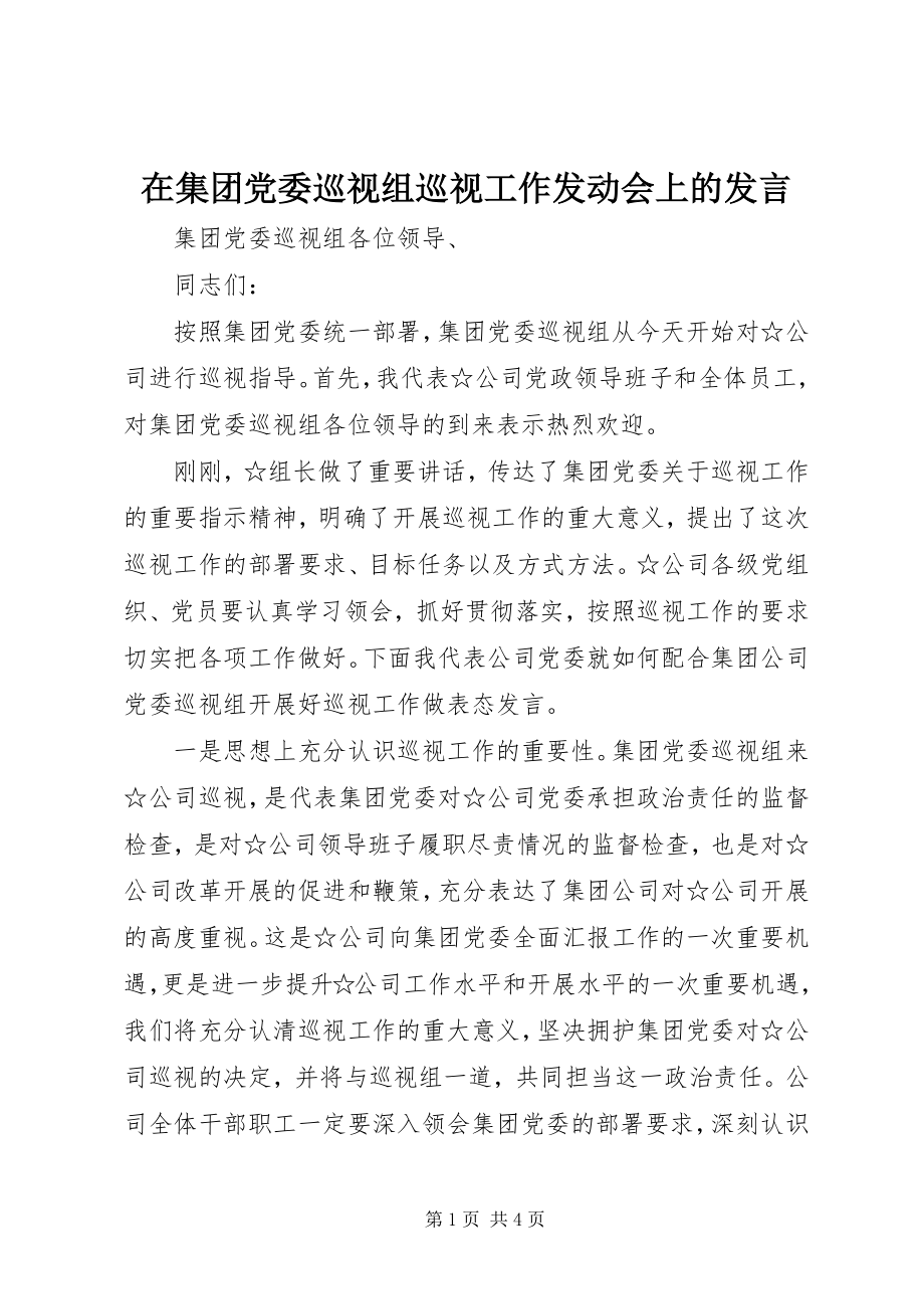 2023年在集团党委巡视组巡视工作动员会上的讲话.docx_第1页