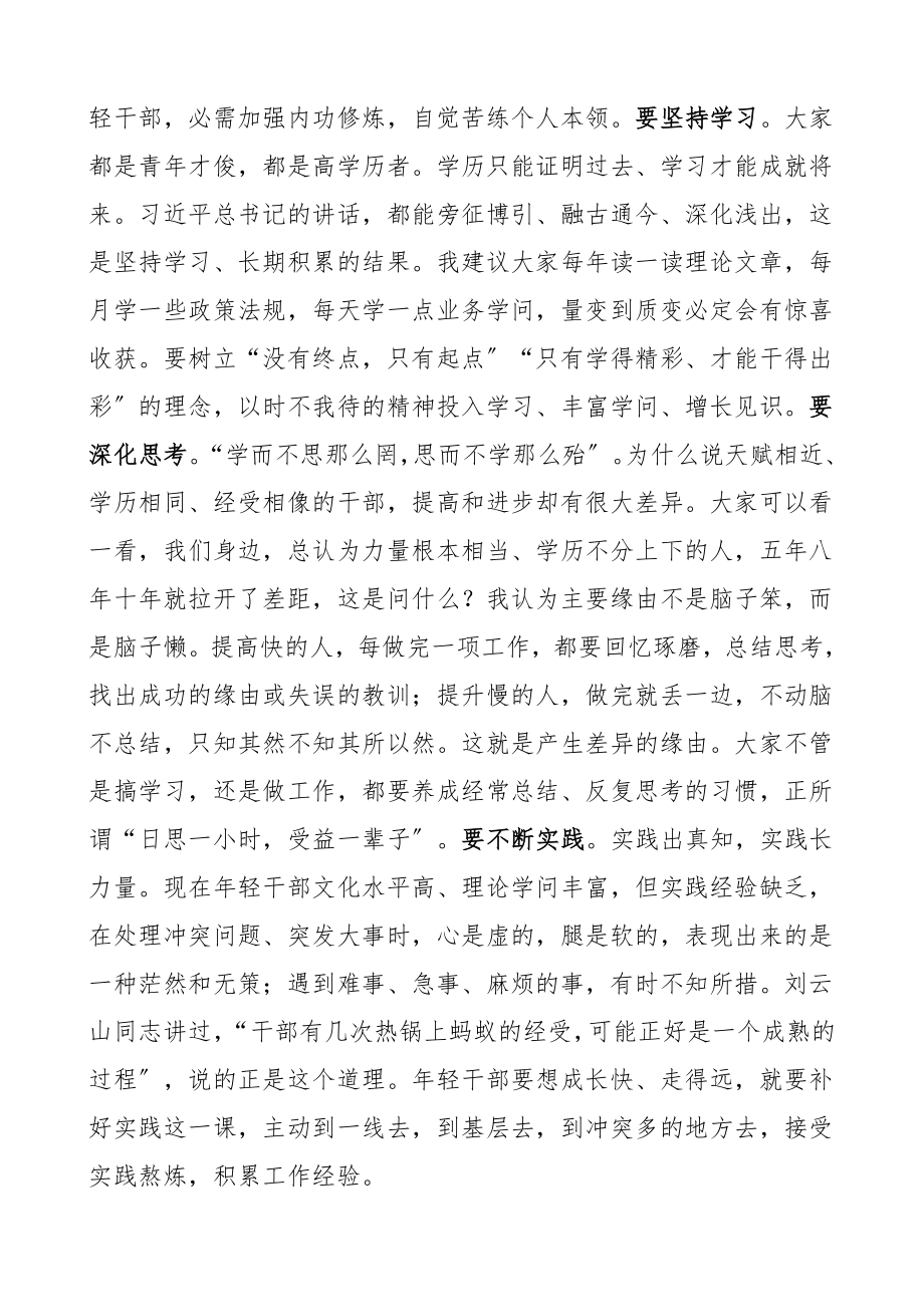 2023年党课xx下闪闪发光党课讲稿青年干部年轻干部.doc_第2页