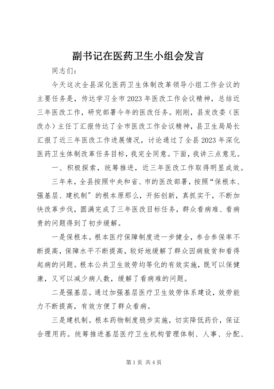 2023年副书记在医药卫生小组会讲话.docx_第1页