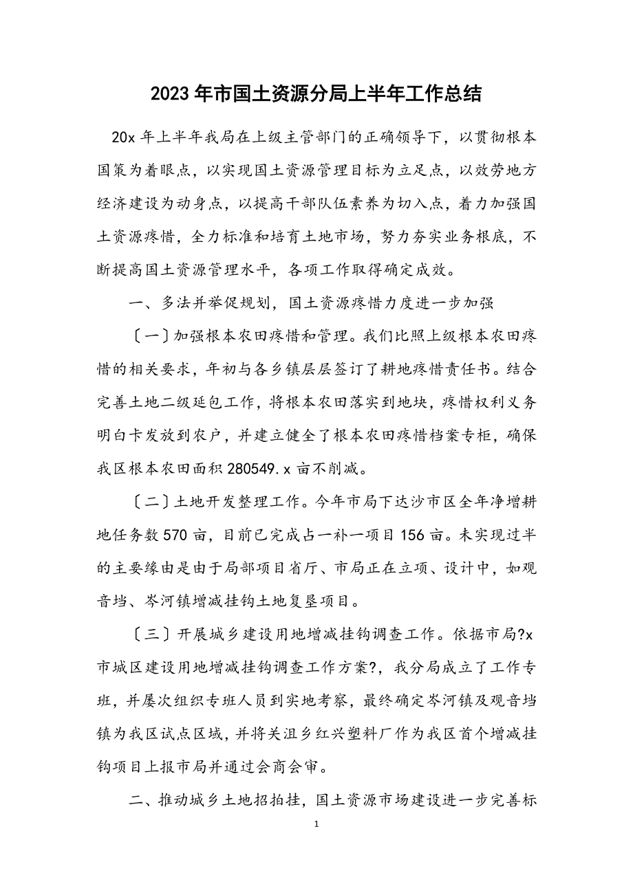 2023年市国土资源分局上半年工作总结.docx_第1页