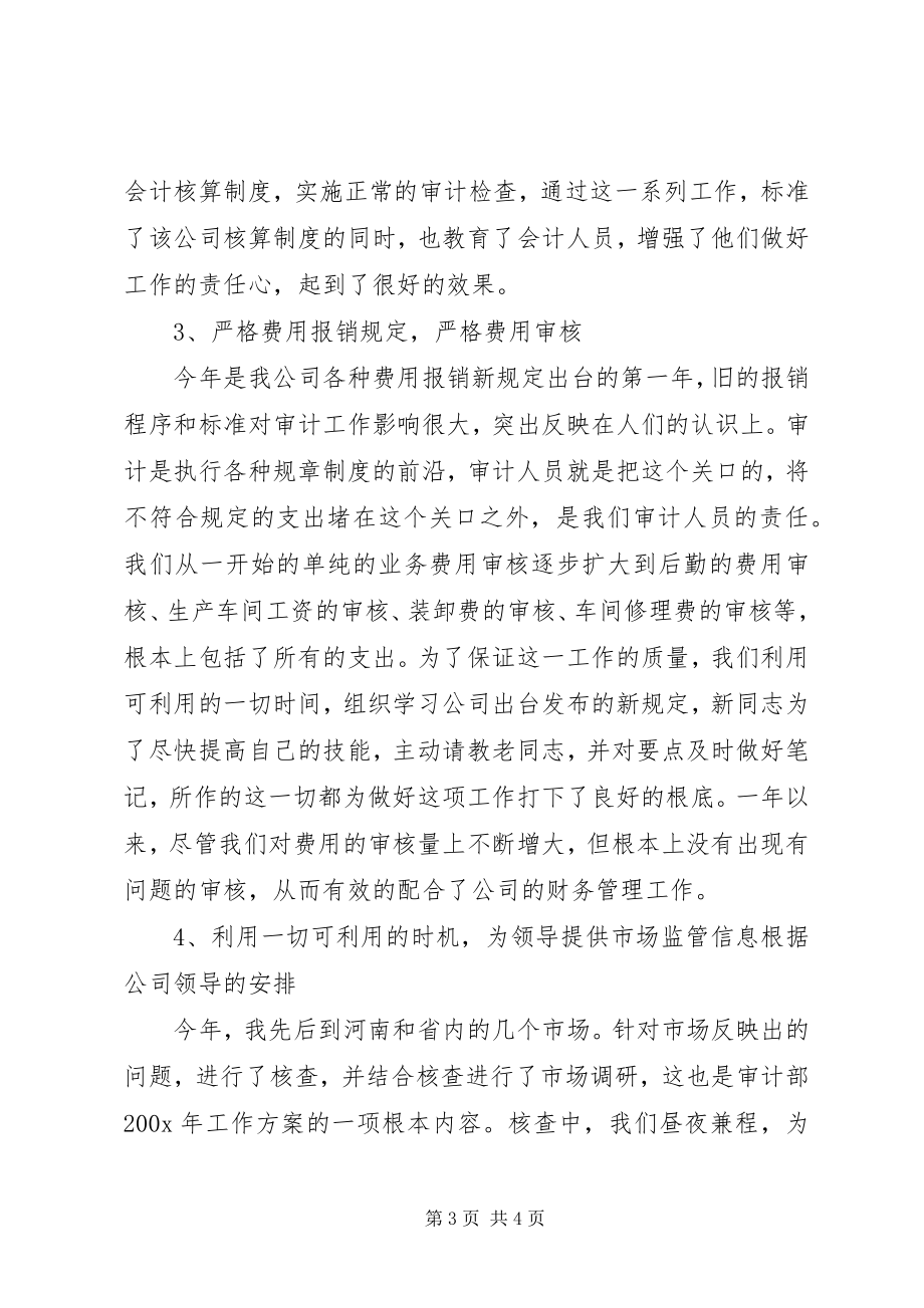 2023年审计经理的个人年终总结.docx_第3页