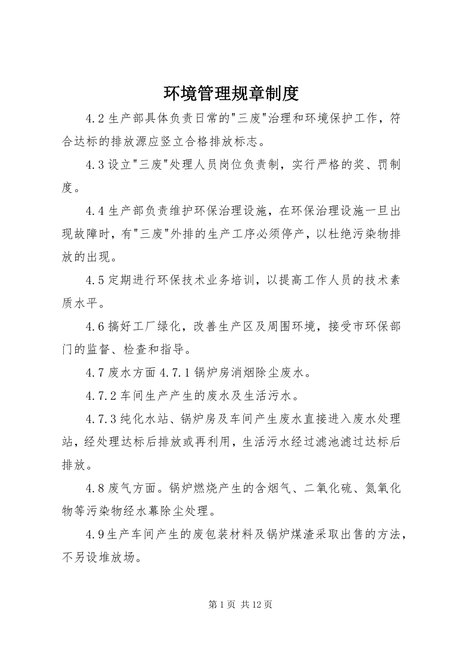 2023年环境管理规章制度.docx_第1页