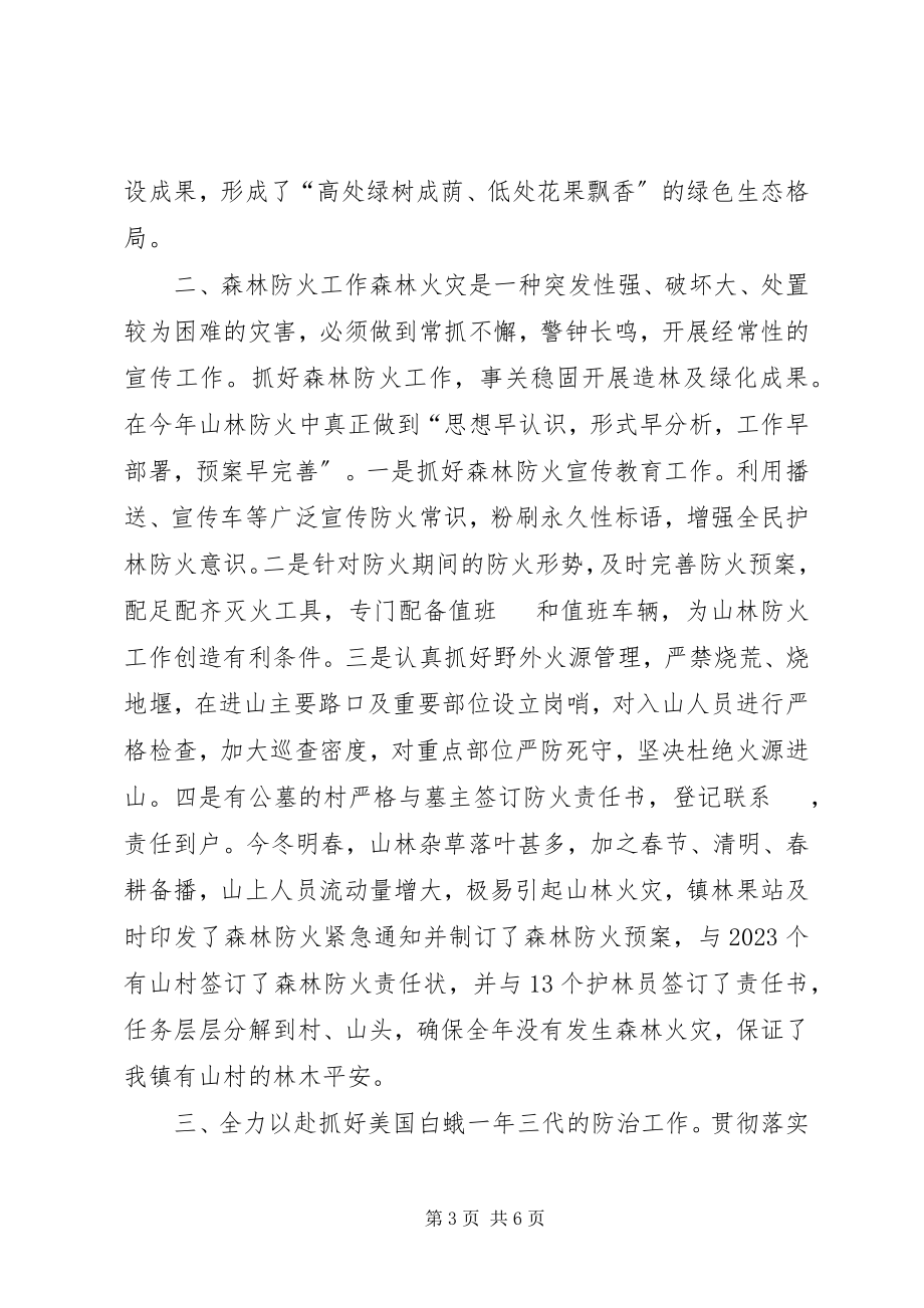 2023年林果站度工作总结和计划.docx_第3页