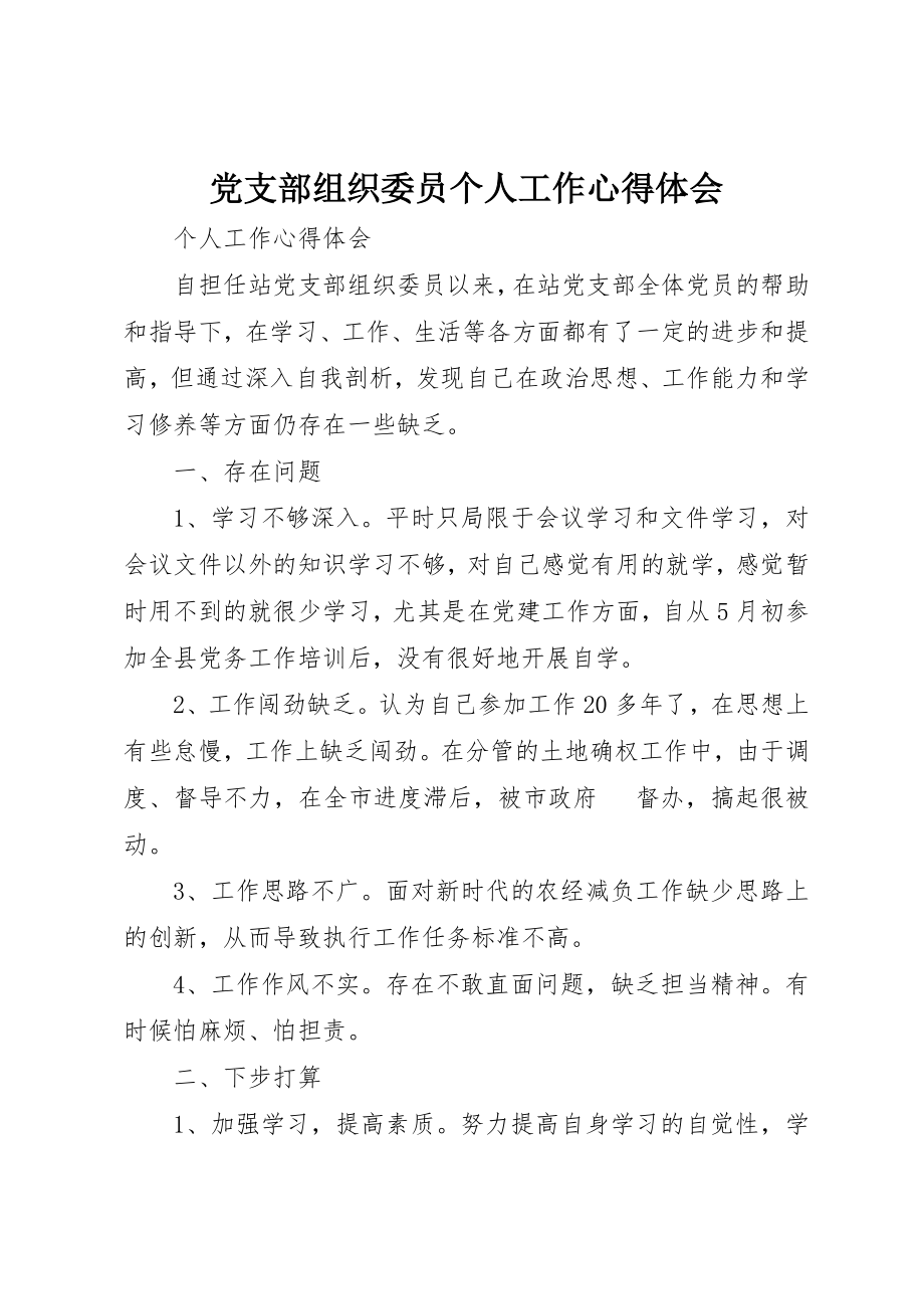 2023年党支部组织委员个人工作心得体会.docx_第1页