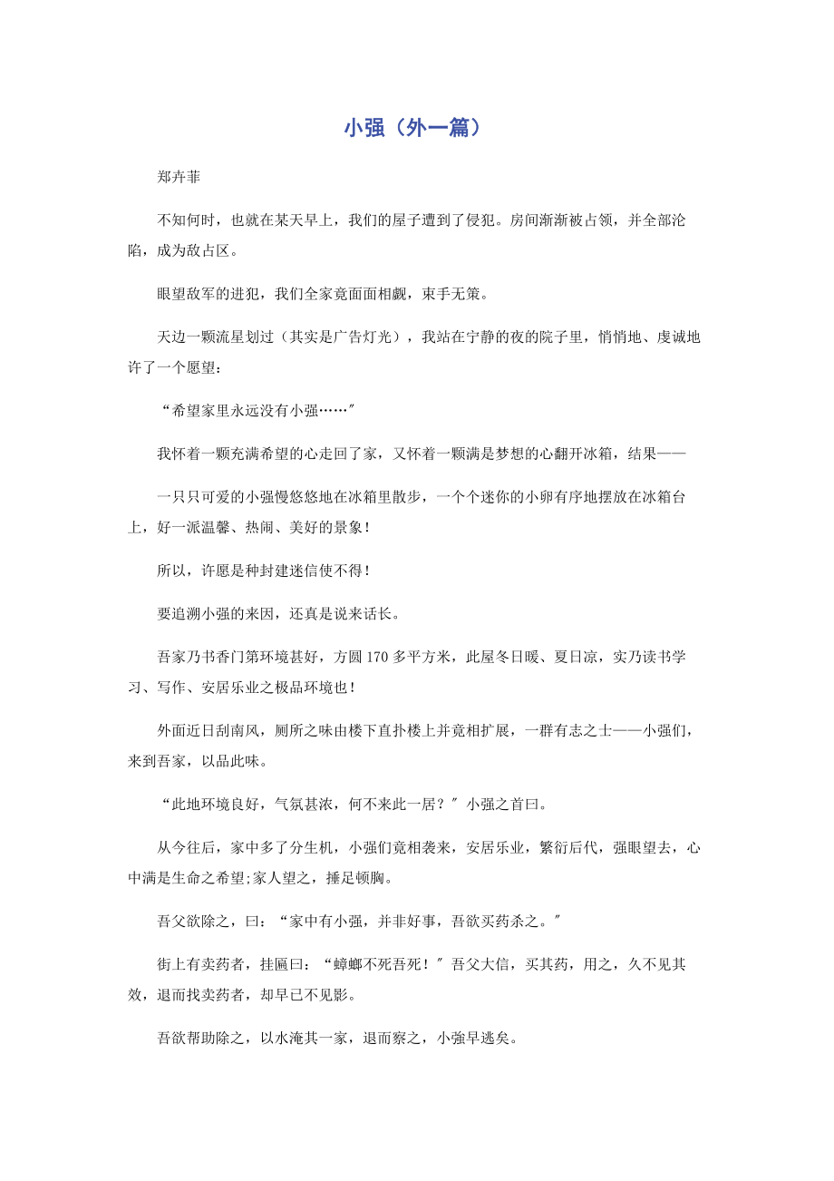 2023年小强外一篇.docx_第1页