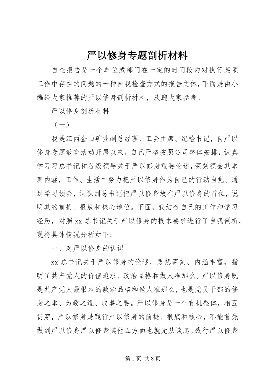 2023年严以修身专题剖析材料.docx_第1页