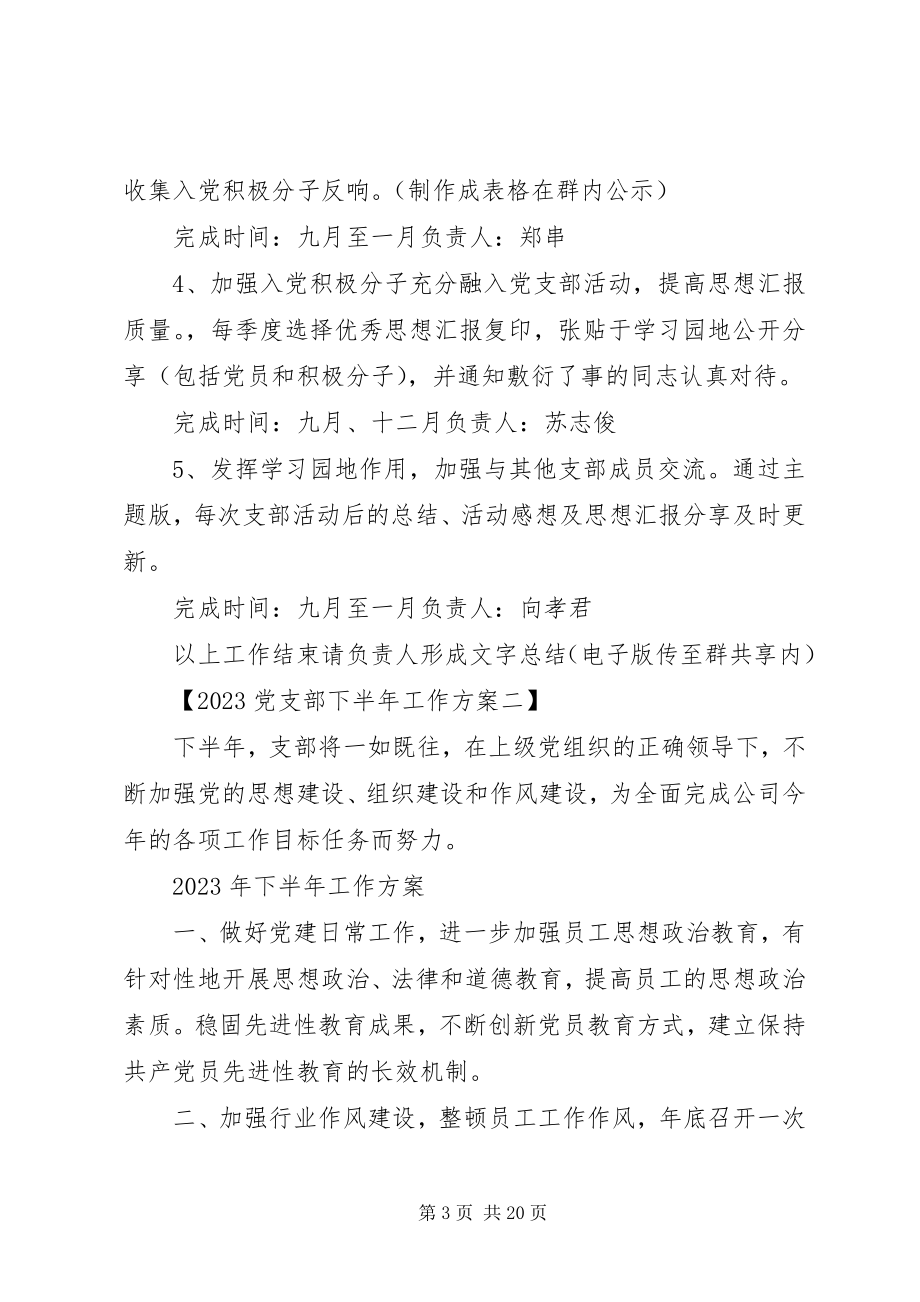 2023年党支部下半年工作计划大全.docx_第3页