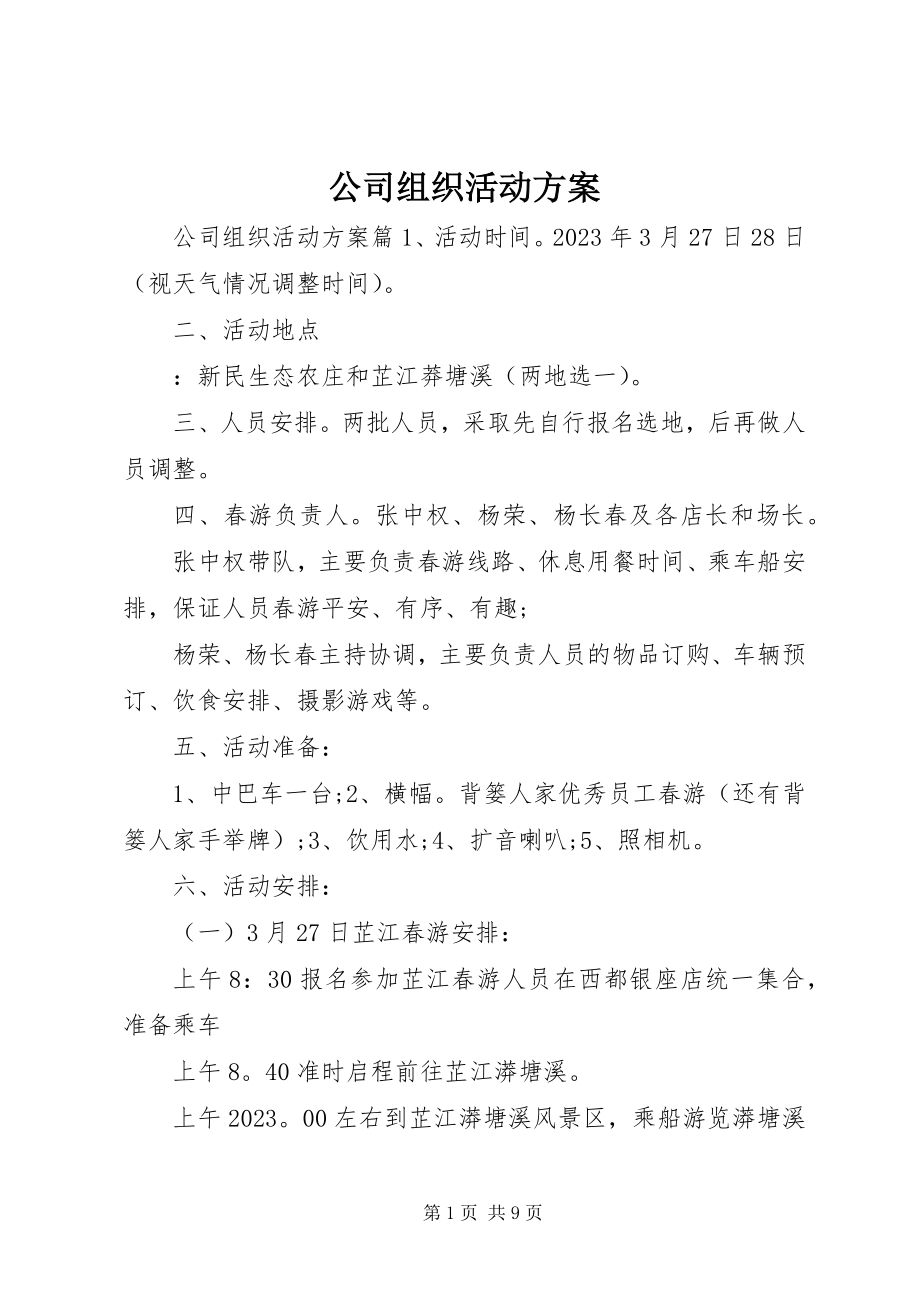 2023年公司组织活动方案.docx_第1页