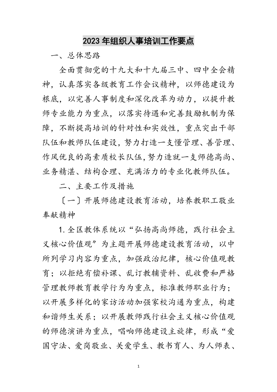 2023年年组织人事培训工作要点范文.doc_第1页