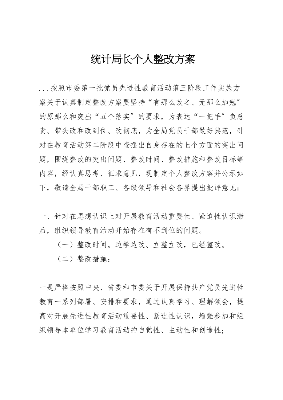 2023年统计局长个人整改方案.doc_第1页