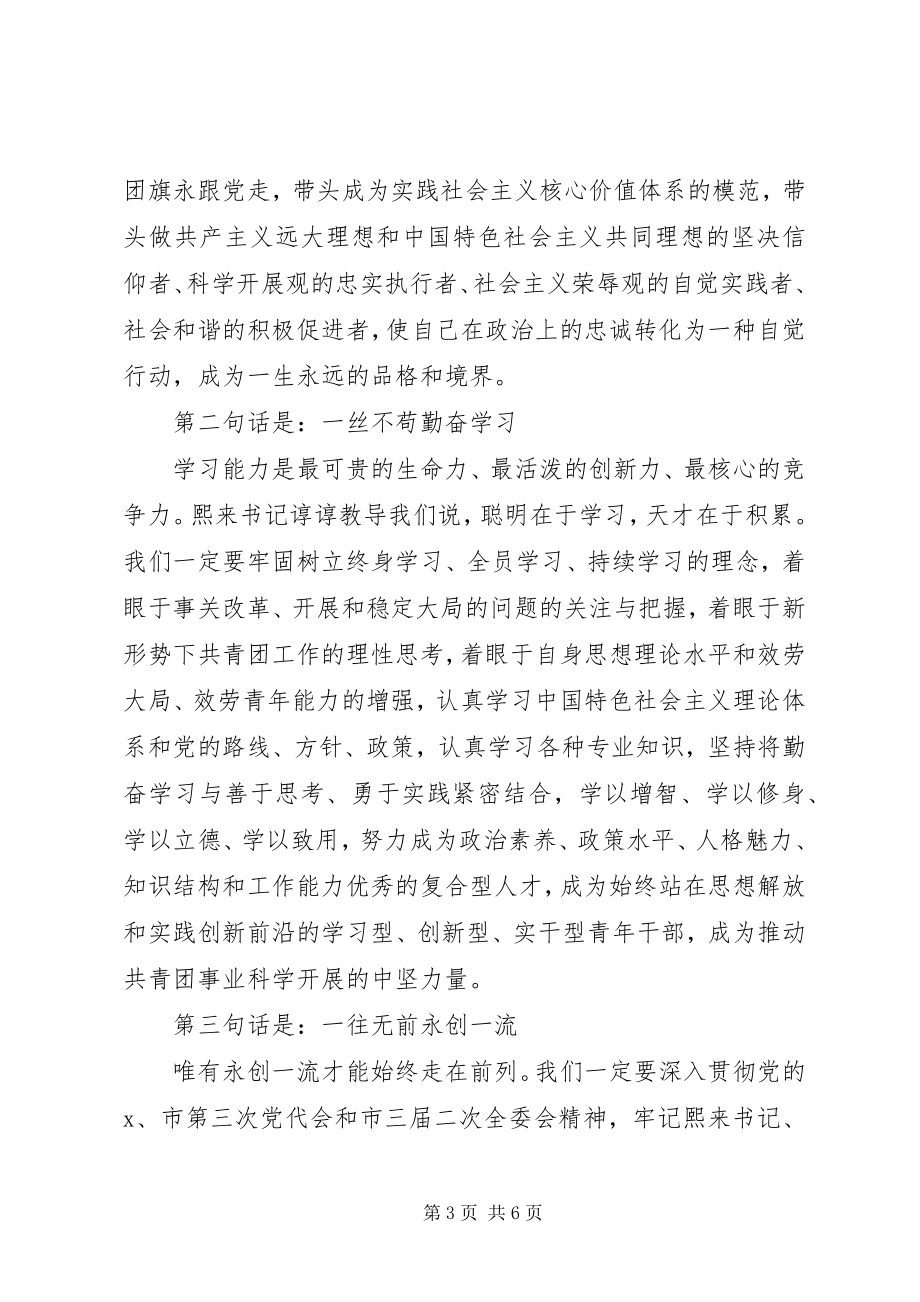 2023年共青团书记全委会上的致辞.docx_第3页