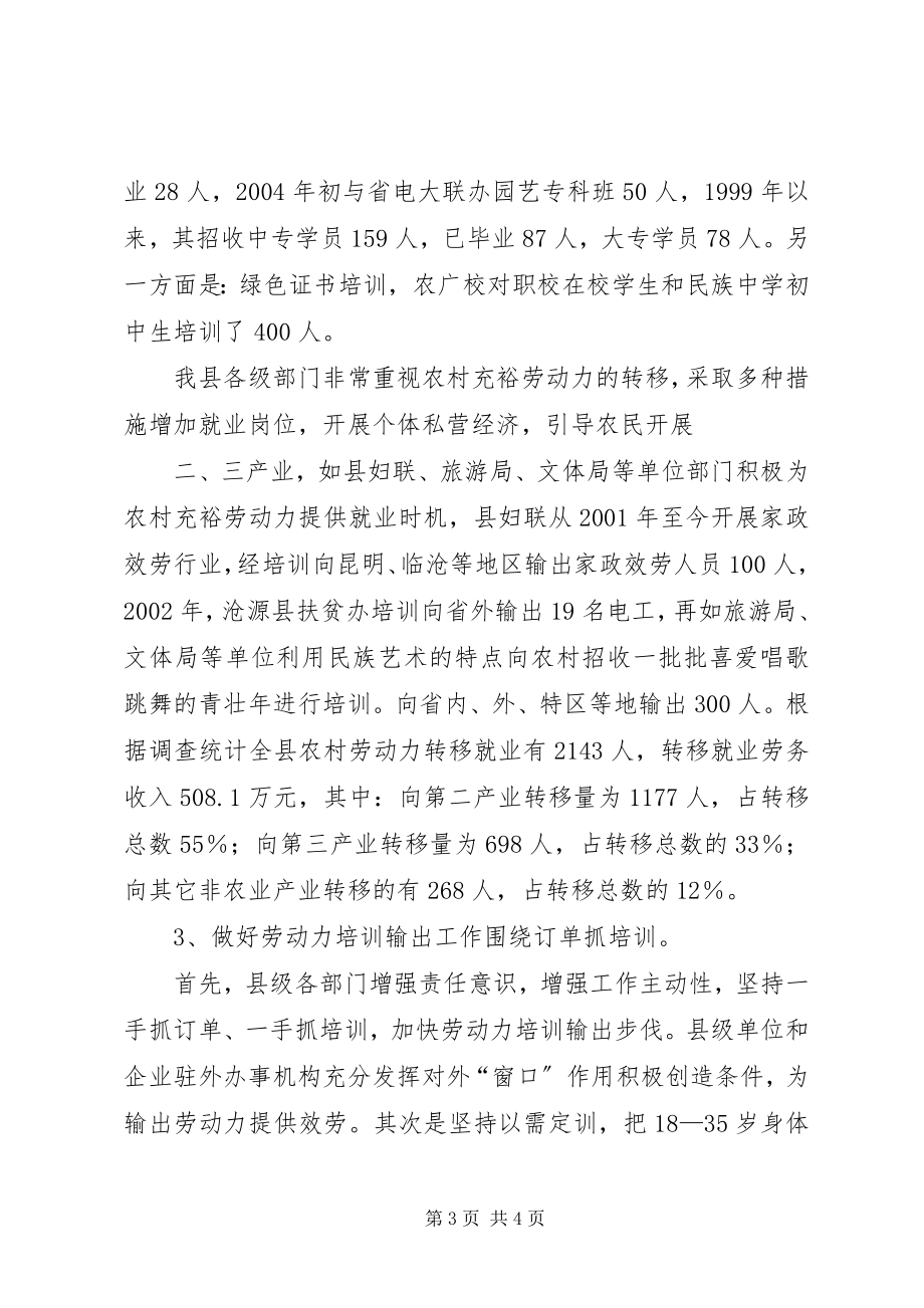 2023年做好劳务输出工作交流.docx_第3页