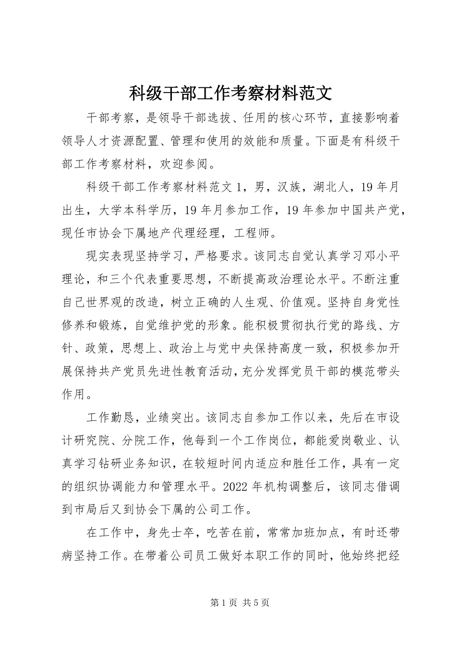 2023年科级干部工作考察材料.docx_第1页