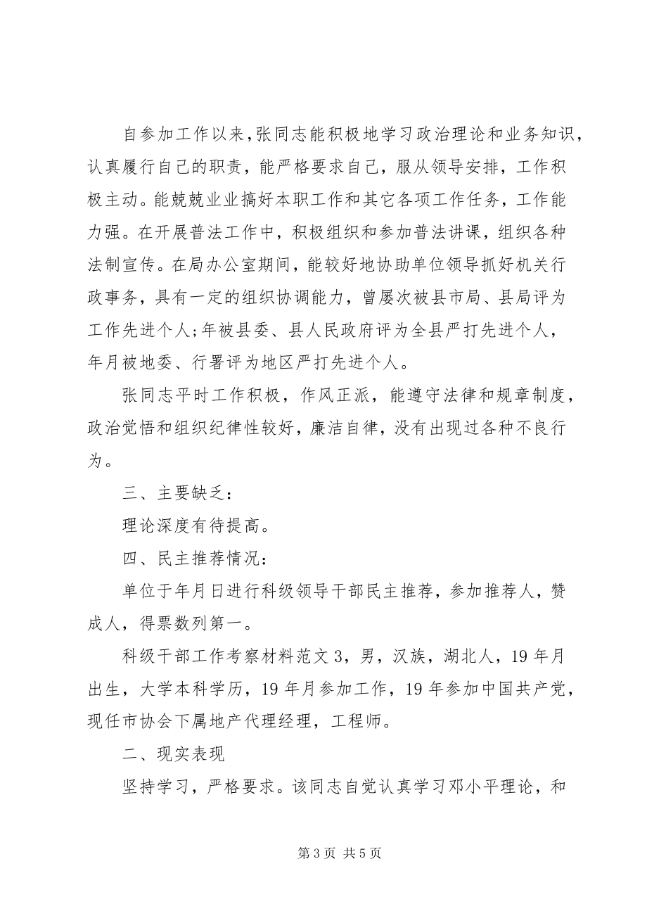 2023年科级干部工作考察材料.docx_第3页