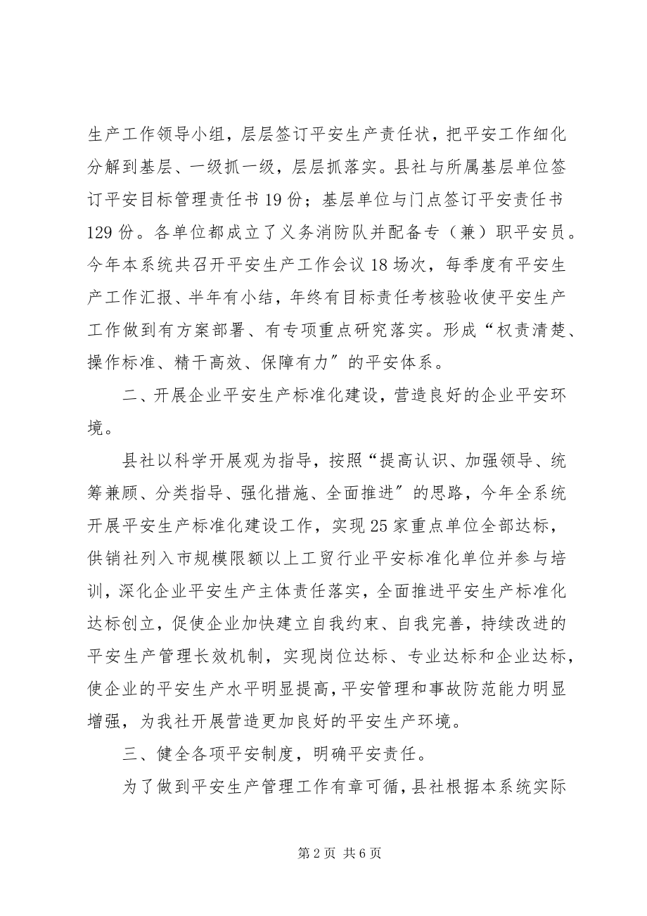 2023年供销系统安全工作总结.docx_第2页