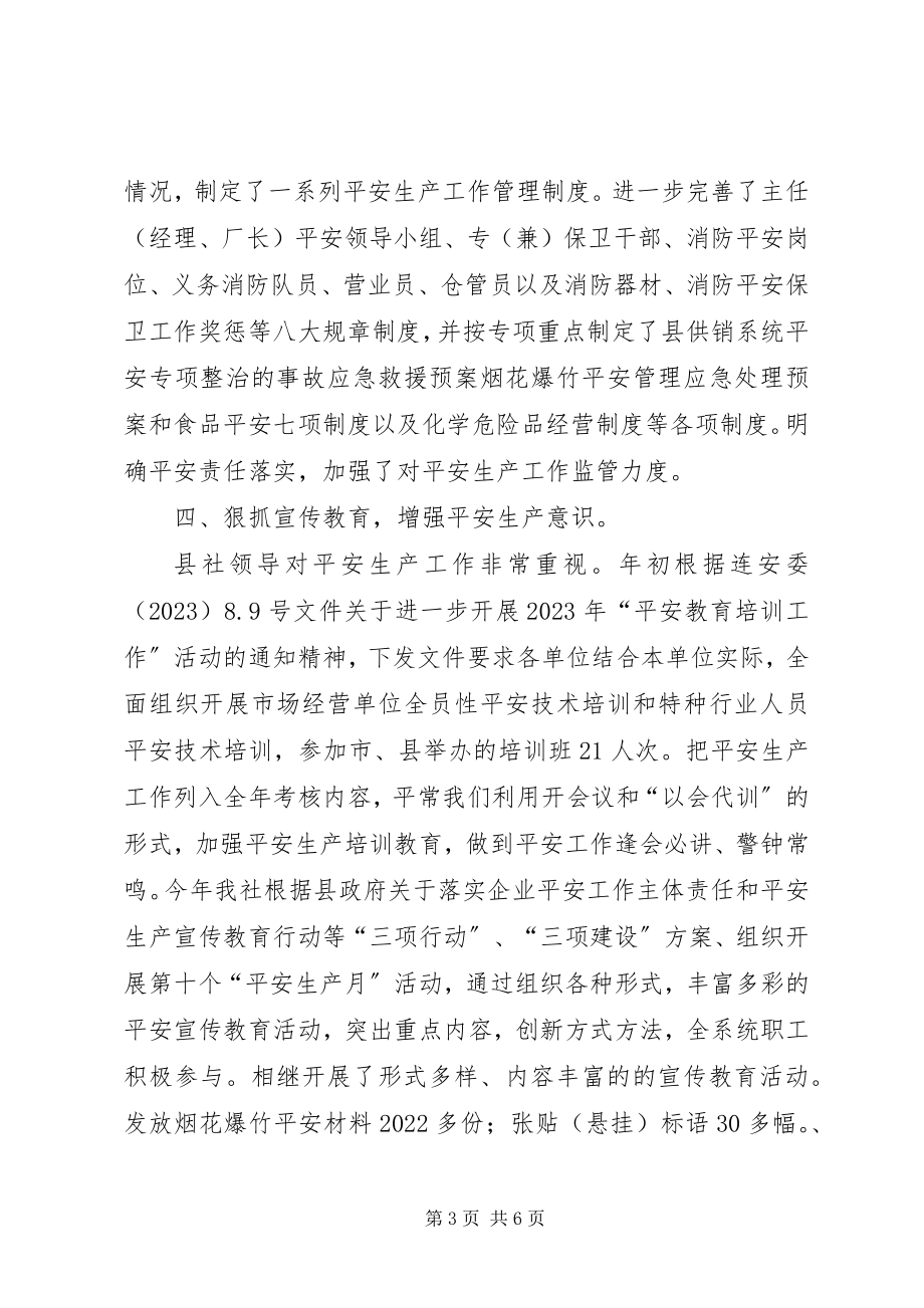 2023年供销系统安全工作总结.docx_第3页