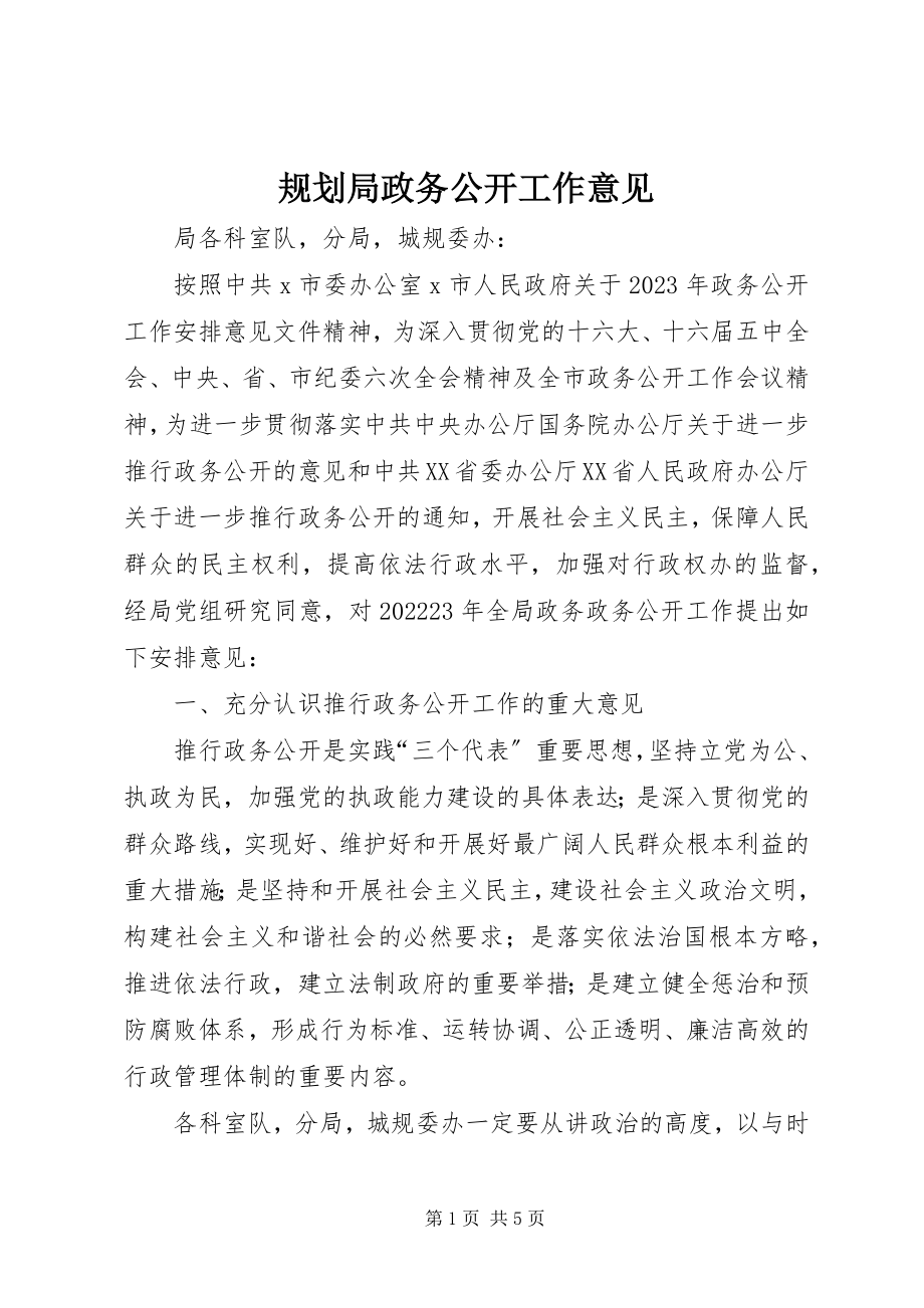 2023年规划局政务公开工作意见.docx_第1页