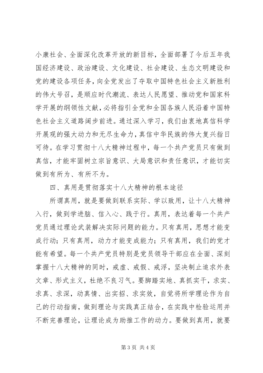 2023年学习贯彻落实党的十八大精神心得体会.docx_第3页