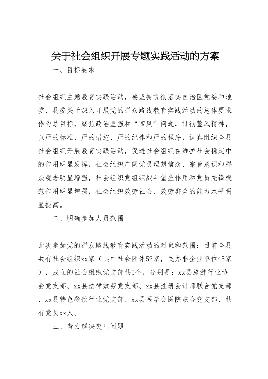 2023年关于社会组织开展专题实践活动的方案.doc_第1页